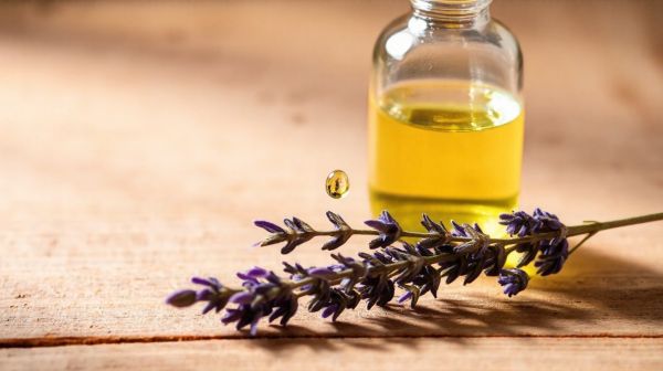 Les 10 bénéfices surprenants de l'huile essentielle de lavandin